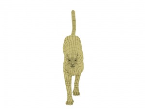 cheetah rigged animated 3D Модель