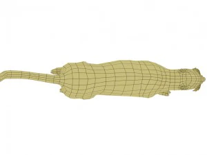 cheetah rigged animated 3D Model