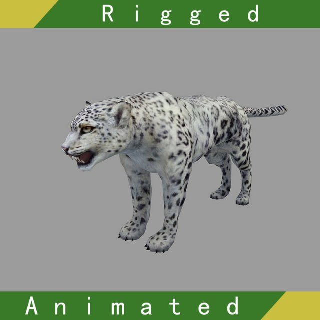snow leopard rigged animated Model 3D .c4d .max .obj .3ds .fbx .stl .blend 