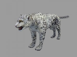 snow leopard rigged animated 3D मॉडल