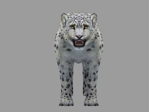 snow leopard rigged animated 3D Model
