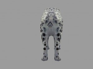 snow leopard rigged animated Model 3D