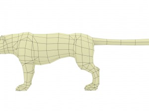 snow leopard rigged animated Model 3D