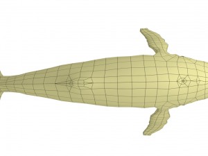 whale rigged animated Modelo 3D