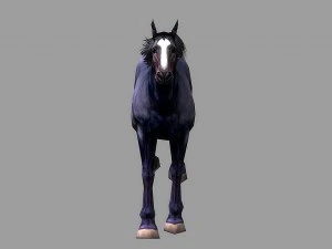horse rigged animated 01 3D Model