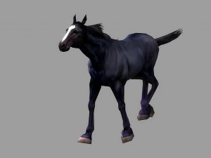 horse rigged animated 01 3D Model