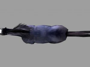 horse rigged animated 01 3D Model