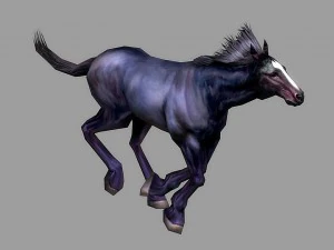 horse rigged animated 01 3D Model