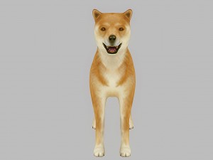akita dog rigged 3D 모델