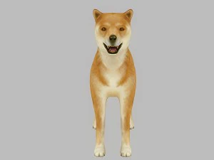 akita dog rigged 3D Model