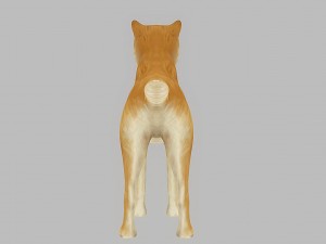 akita dog rigged 3D 모델