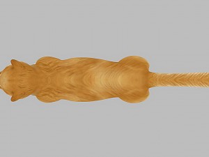 akita dog rigged 3D 모델