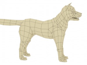 akita dog rigged 3D 모델