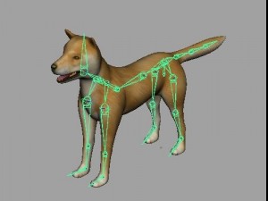 akita dog rigged 3D 모델