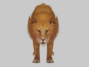 lion rigged animated 3D Model