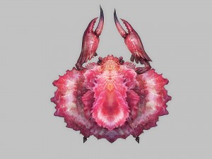 crab rigged animated 3D Model