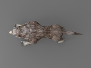 wolf rigged 3Dモデル