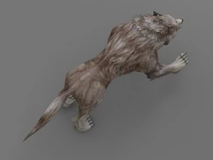 wolf rigged 3D Model