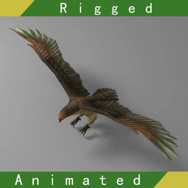 eagle rigged animated 01 3D Model .c4d .max .obj .3ds .fbx .stl .blend