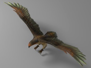 eagle rigged animated 01 3D Model