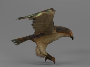 eagle rigged animated 01 3D Model