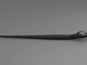 snake rigged animated 01 3D Model