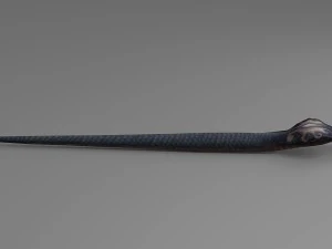 snake rigged animated 01 3D Model