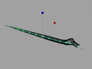 snake rigged animated 01 3D Model