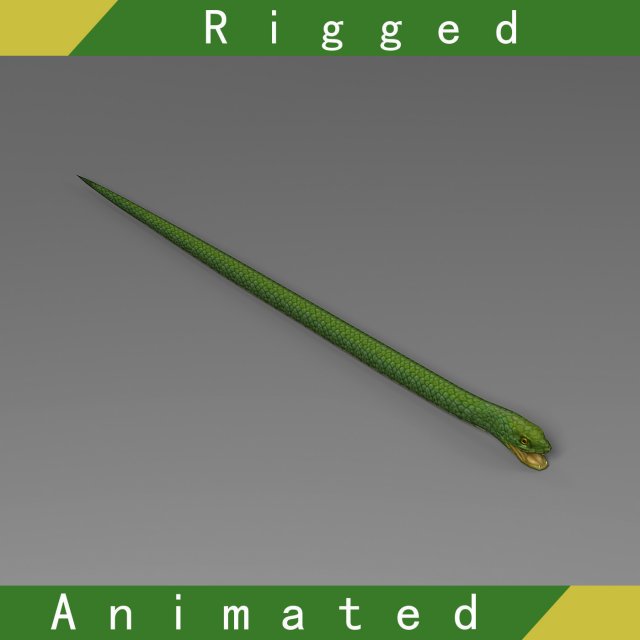 snake rigged animated 02 3D Model .c4d .max .obj .3ds .fbx .stl .blend 
