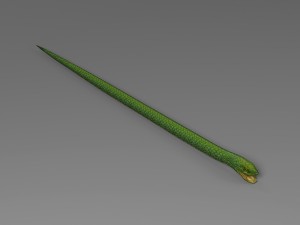 snake rigged animated 02 3D Model