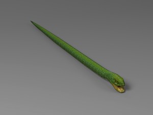 snake rigged animated 02 3D Model