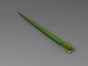 snake rigged animated 02 3D Model