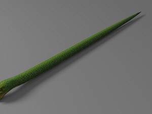snake rigged animated 02 3D Model