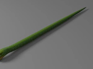 snake rigged animated 02 3D Model