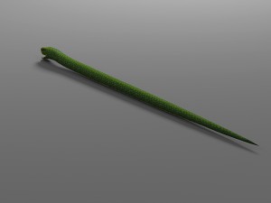 snake rigged animated 02 3D Model