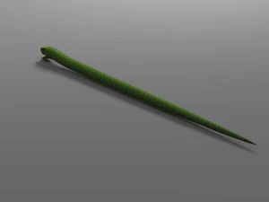 snake rigged animated 02 3D Model