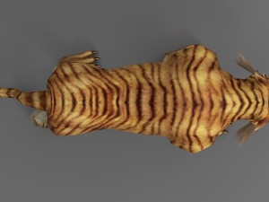 tiger rigged animated Modello 3D