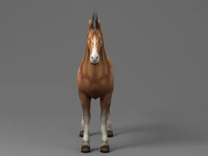 horse rigged animated 03 3D Model