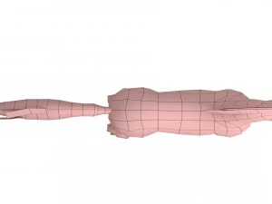 horse rigged animated 03 3D Model