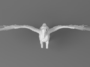 pegasus 3Dモデル