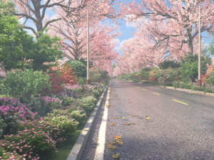 cherry blossom forest 3D Model