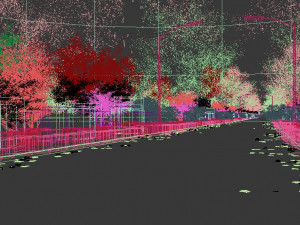 cherry blossom forest 3D Model
