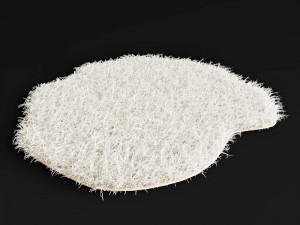 carpet Modelo 3D