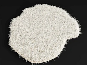 carpet 3D Model