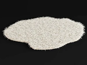 carpet 3D Model