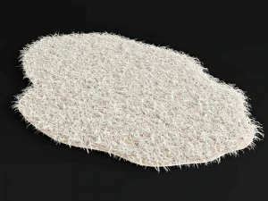 carpet 3D Model