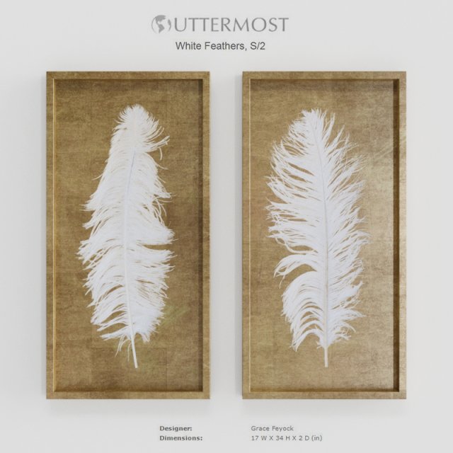 uttermost white feathers gold shadow box s2 3D Model .c4d .max .obj .3ds .fbx .stl .blend 