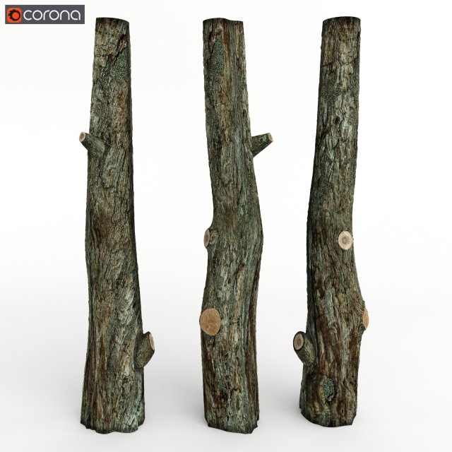 tree trunk 3D-Modell .c4d .max .obj .3ds .fbx .stl .blend 