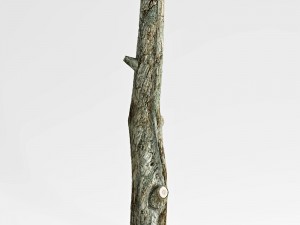 tree trunk 3D-Modell