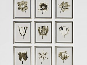 picture set flowers 3D Модель